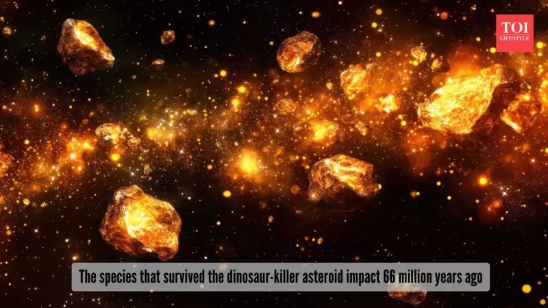 Ammonites Survived Dinosaur-Killer Asteroid by 200,000 Years, Study Reveals