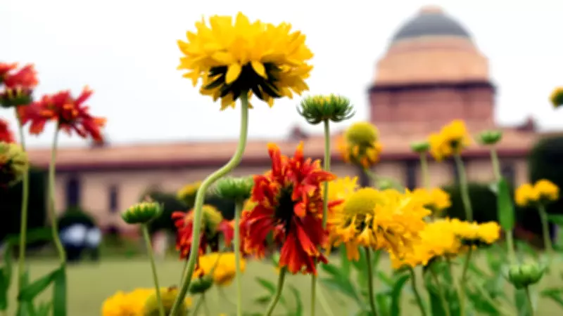 Amrit Udyan 2026: A Complete Travel Guide to Delhi's Floral Paradise