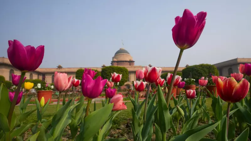 Amrit Udyan at Rashtrapati Bhavan: Opening Dates, Timings, Ticket Price, and Entry Gate Details