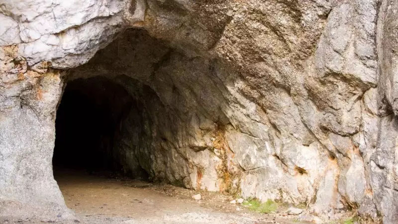 Ancient Cave in Indonesia Reveals Possible Overlap Between Modern Humans and Extinct Hominins