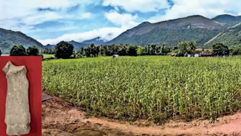Ancient Rhino Bones Found in Tamil Nadu Reveal Prehistoric Habitat