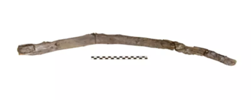 Ancient Wooden Tools Discovered in Greece Rewrite Early Human History
