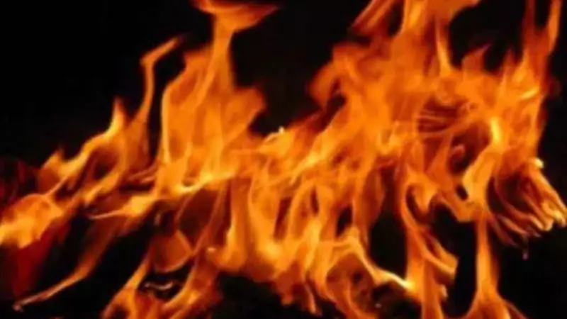 Andheri Fire Tragedy: 2 Dead in Commercial Building Blaze