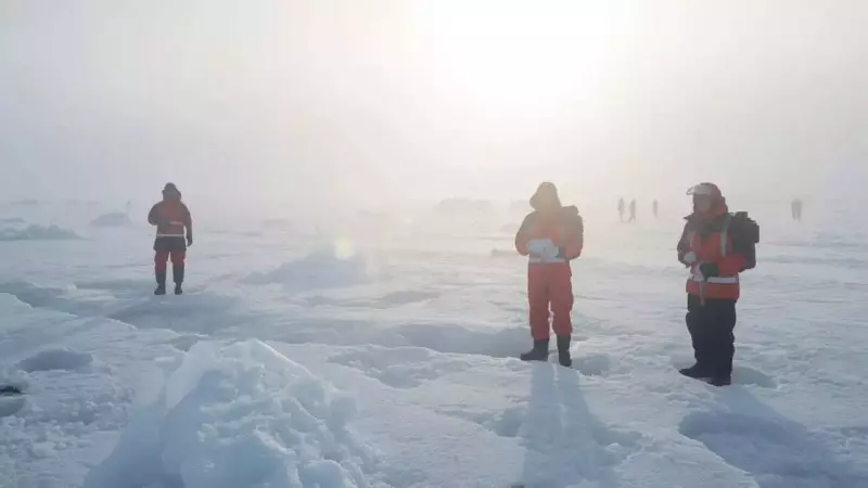 Antarctica: The Frozen Continent of Scientific Discovery and NASA's Testing Ground