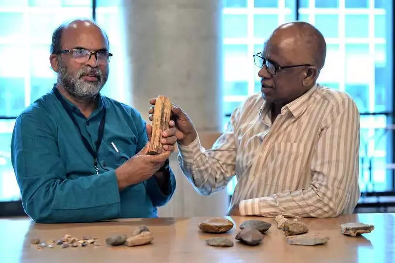 Archaeologists Warn: Telangana's Prehistoric Heritage Faces Neglect and Deterioration