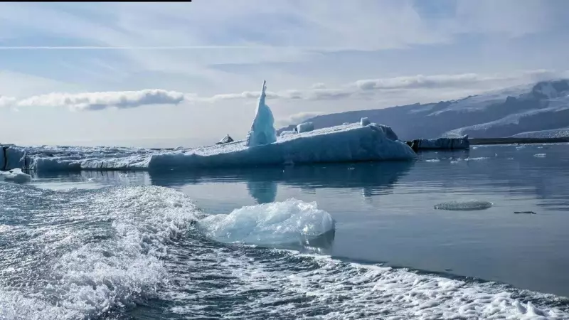 Arctic Ice Diatoms: Microscopic Algae's Secret Movement Beneath Frozen Surface