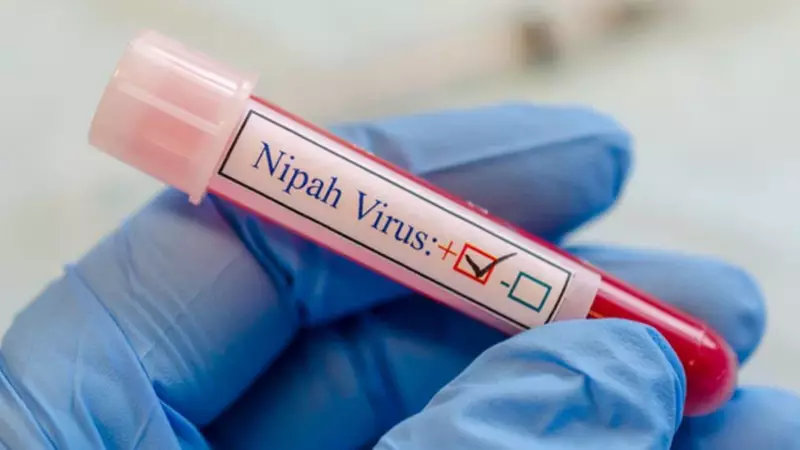 Asian Airports Reinstate Health Screenings After India's Nipah Virus Outbreak