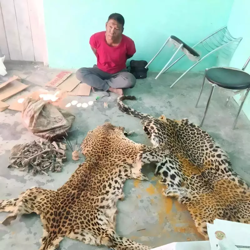 Assam Forest Officials Nab Wildlife Smuggler, Seize Leopard Skin & Tiger Bones