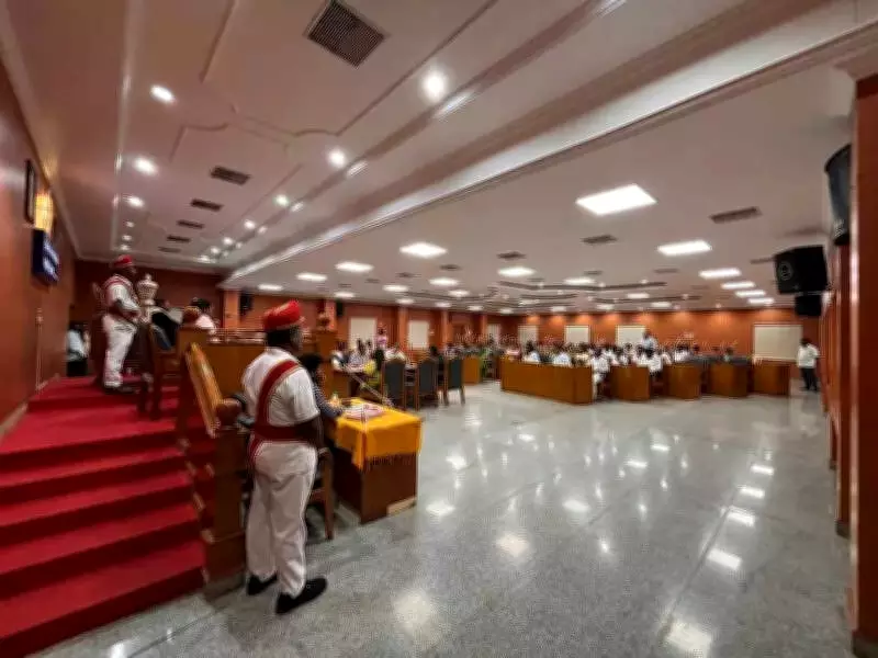 Avadi Corporation Council Meeting Highlights Mosquito Menace and Stray Animal Crisis