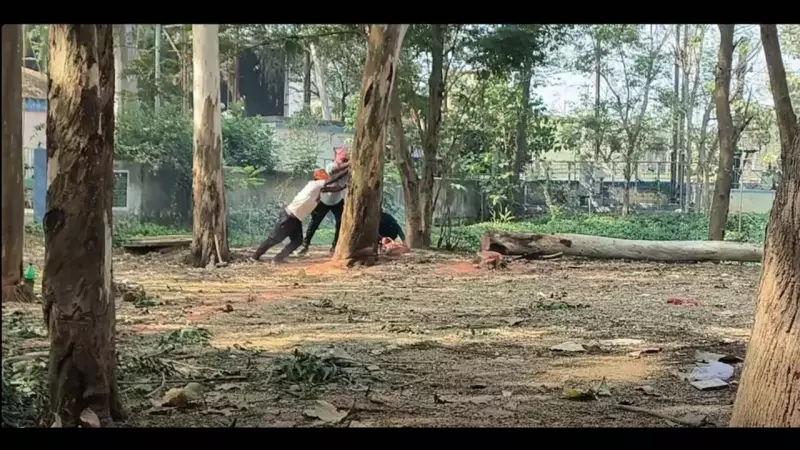 Balasore Admin Halts Tree Felling After Public Outcry Over Pollution Norms