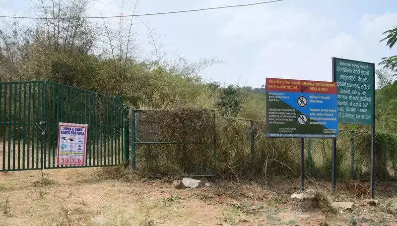 BDA Urges State Intervention in Turahalli Forest Buffer Zone Dispute Affecting 480 Sites