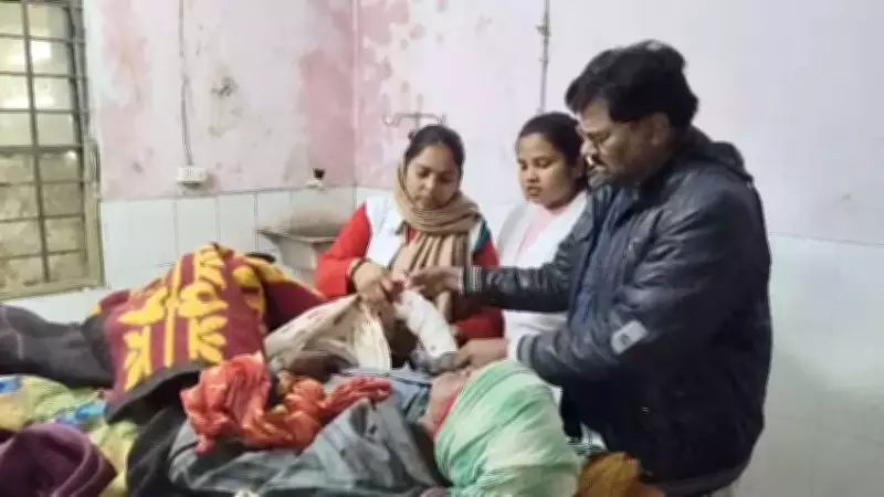 Bear Attack in West Champaran: 65-Year-Old Man Seriously Injured in Valmiki Tiger Reserve