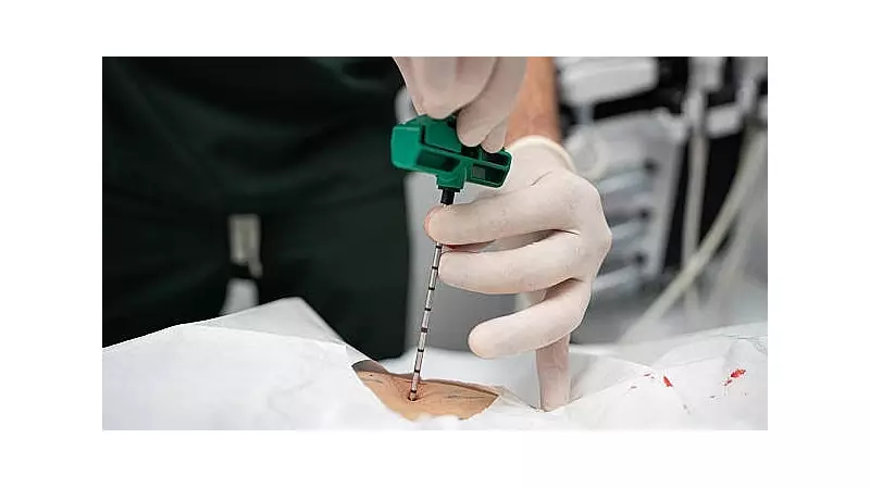 Bengaluru Hospitals Report 30% of Bone Marrow Transplants Are Pediatric Cases