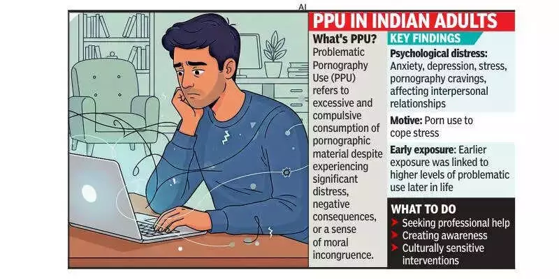 Bengaluru IT Professional's Porn Addiction Case Highlights Mental Health Study