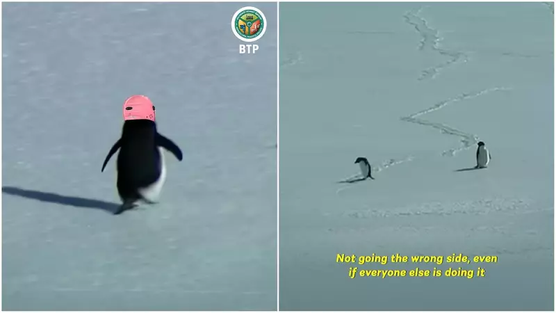 Bengaluru Police Adopt Nihilist Penguin Trend to Promote Road Safety Awareness