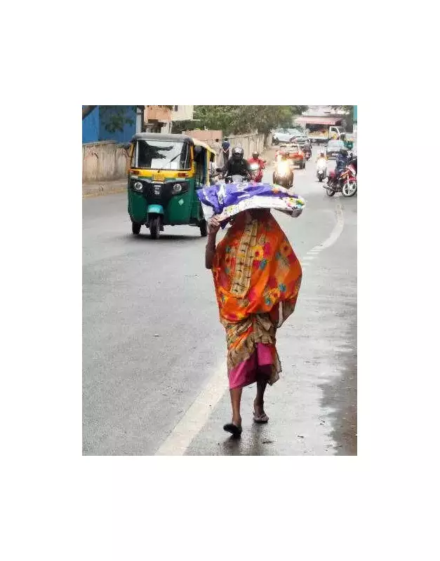 Bengaluru Weather Update: Cloud Cover to Lift, Wind Chill to Persist Until Month-End