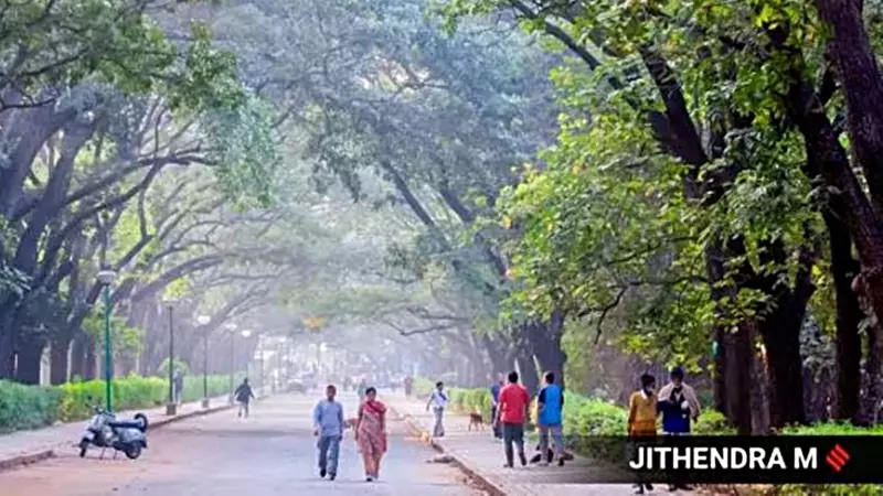 Bengaluru's Cubbon Park Walkers Oppose New Skating Rink Plan