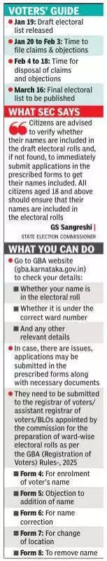 Bengaluru's Draft Voter List Shows 12.2% Growth, 88.9 Lakh Electors for GBA Polls