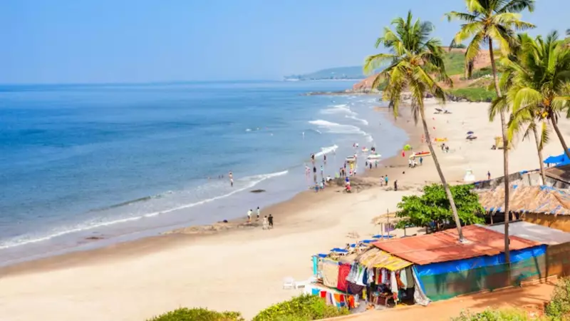 Beyond Beaches: Six Offbeat Experiences to Discover in Goa