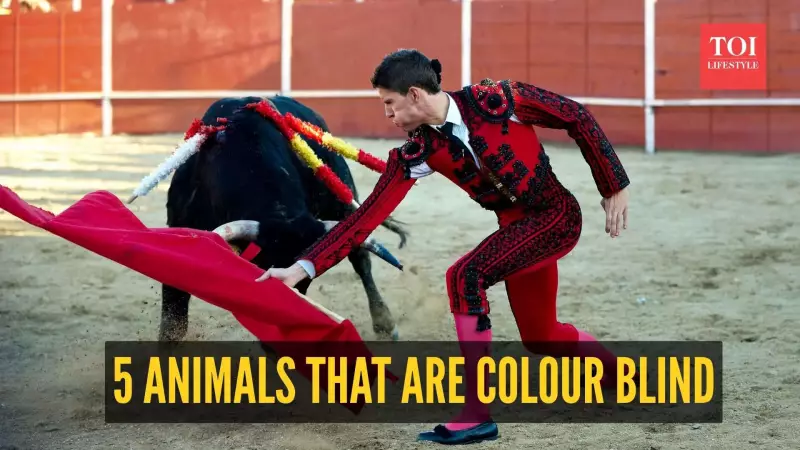 Beyond the Rainbow: 5 Animals That See a Colorless World