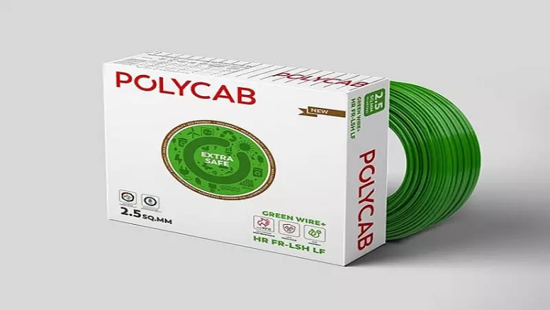 Beyond Tiles and Wiring: The Unseen Forces Powering India's Green Home Boom