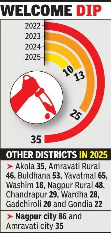 Bhandara Sees Historic Low of 10 Murders in 2025, Credits Intelligence-Led Policing