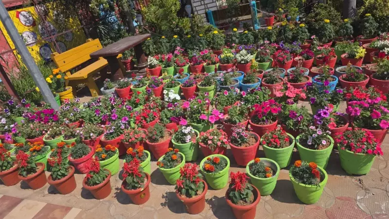 Bhanjanagar Police Station Transformed into Floral Paradise in Ganjam