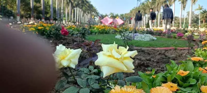Bhopal's BHEL Rose Garden Prepares to Host 2028 World Rose Convention