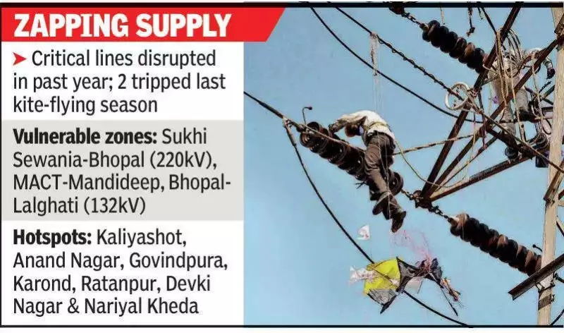 Bhopal's Festive Kite Flying Poses Deadly Threat to Power Grid, Lives