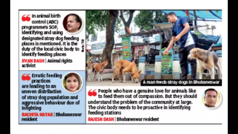 Bhubaneswar to Create Designated Feeding Zones for Stray Dogs After Supreme Court Query