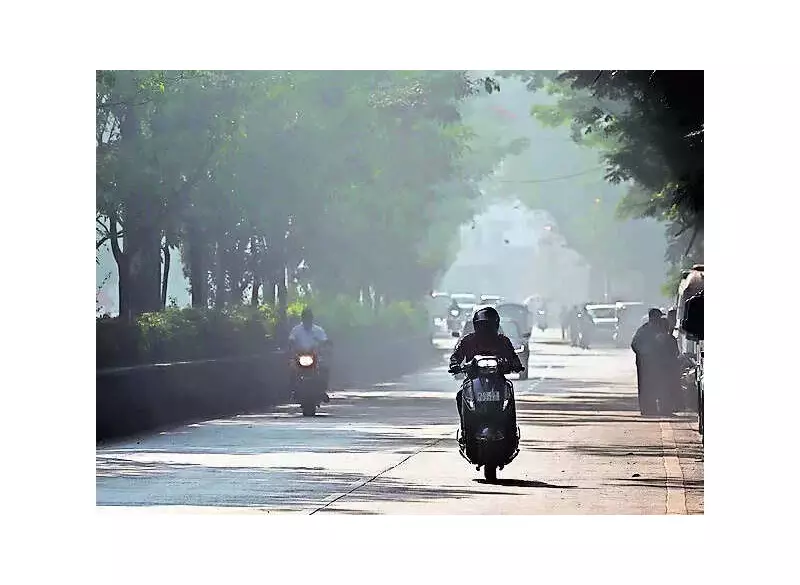 Bihar Weather Shift: IMD Predicts Yellow Alert, Relief from Severe Cold