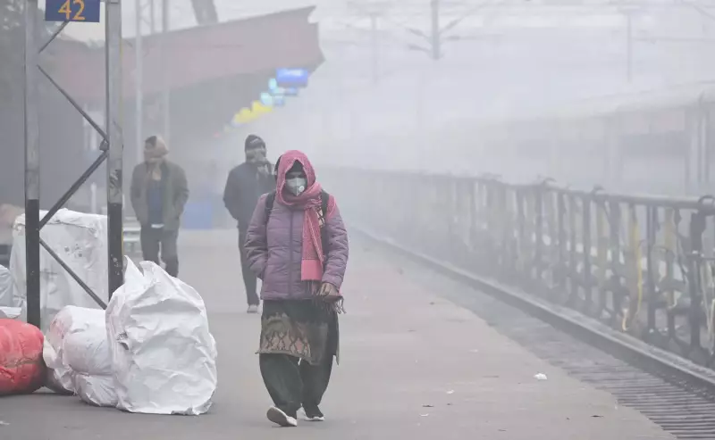 Bihar's Cold Spell: Patna Schools Shut Till Jan 13 as Dense Fog, Icy Winds Grip State