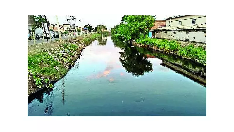 Bihar's Water Quality Improves: Ganga Cleaner, 18 STPs Now Operational