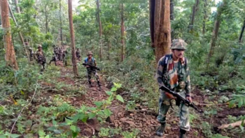 Bijapur Encounter: Naxalites Clash with Police in Chhattisgarh's Forest Region