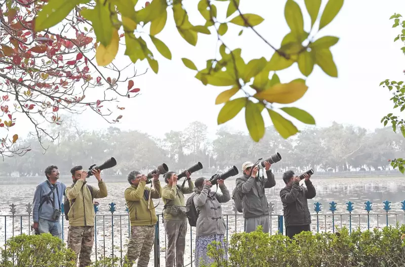 Bird Photography Soars in Kolkata: A Weekend Ritual Amid Urban Wetlands