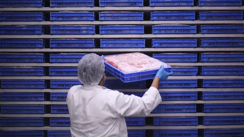 BJP Faces Political Heat in MP as Beef Seizure Traced to BMC-Run Slaughterhouse