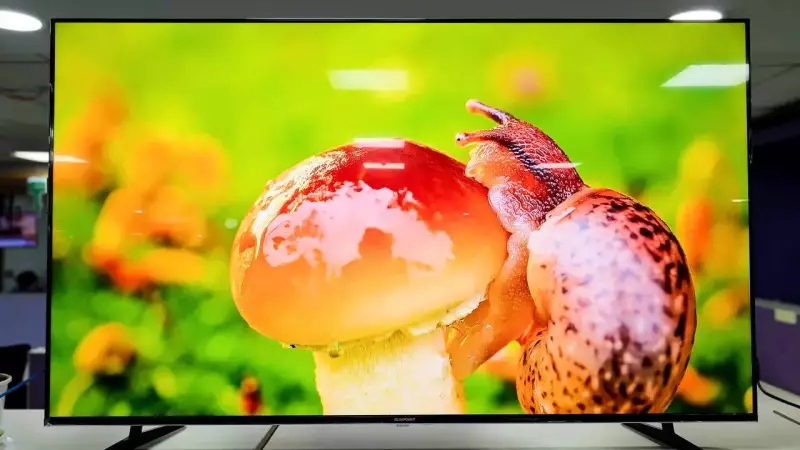 Blaupunkt Milkyway 65-inch TV Review: Mini LED Magic at a Budget Price