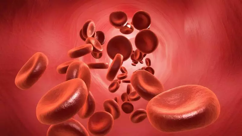 Blood Type A Linked to Higher Stomach Cancer Risk: Nature Study Reveals Pattern