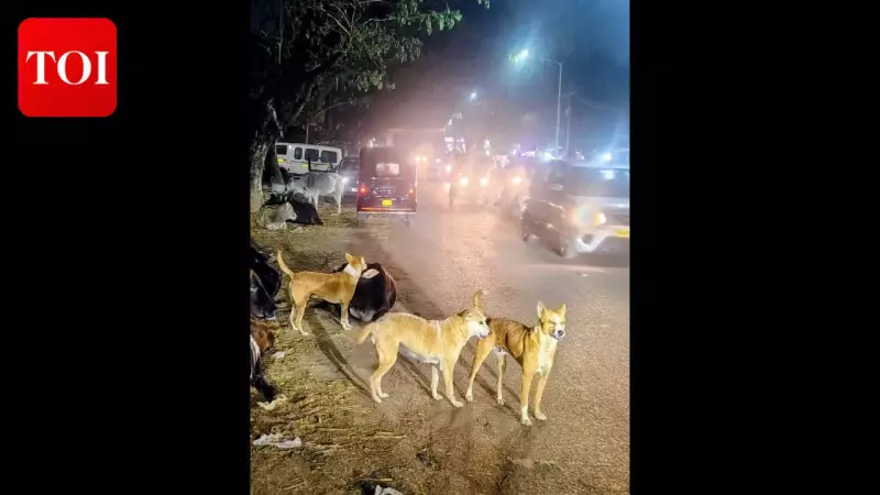 BMC Seeks Land for Permanent Stray Dog Shelters Following Supreme Court Directive