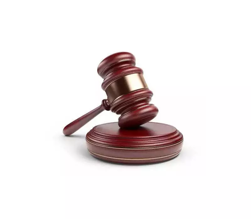 Bombay HC Grants Bail to Two Elgar Parishad Accused, Only Gadling Remains