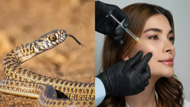 Botox Could Help Snakebite Victims by Reducing Tissue Damage, Study Finds