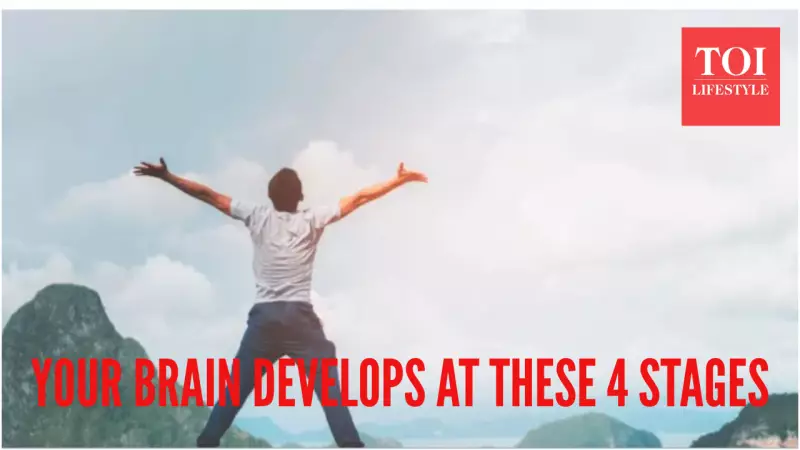 Brain Development Has 5 Key Stages: Milestones at Ages 9, 32, 66, 83