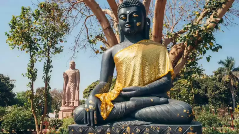 Buddha's Wisdom on Attachment and Suffering Remains Relevant Today
