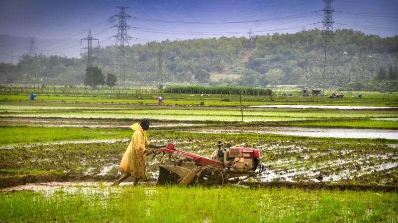 Budget 2026: Digital and Climate-Smart Farming Set for Major Boost