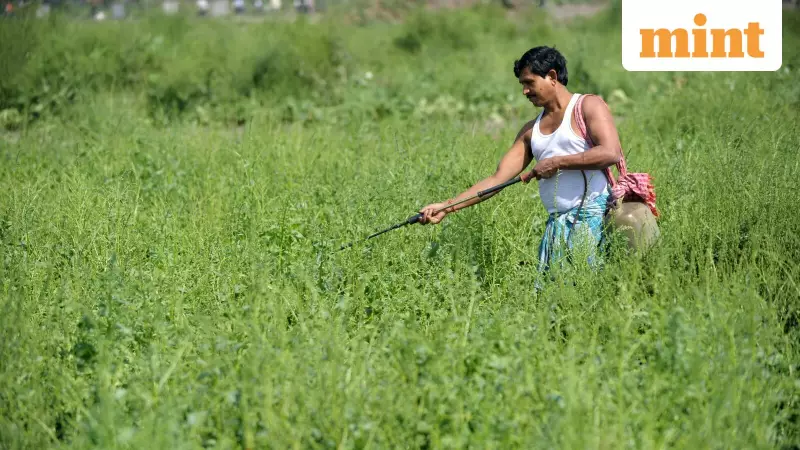 Budget 2026: Experts Outline Key Agri Priorities for Long-Term Resilience