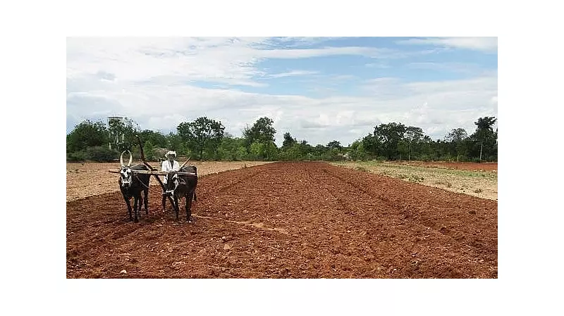 Budget FY27: Agri Sector Demands Tech Boost and Climate-Resilient Infrastructure