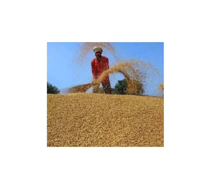 Buxar Minister Demands Faster Paddy Procurement as Deadlines Loom