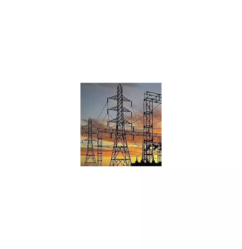 CAG-Empaneled Auditors to Probe TNPDCL's ₹60,000 Crore Debt Crisis