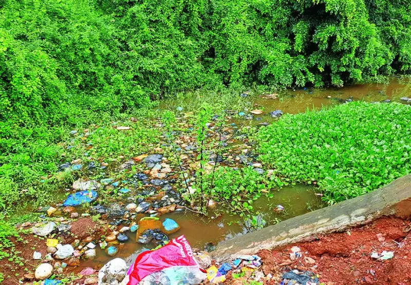 CAG Exposes ₹3.1 Crore Excess Payments in Goa's Sal River Desilting Project