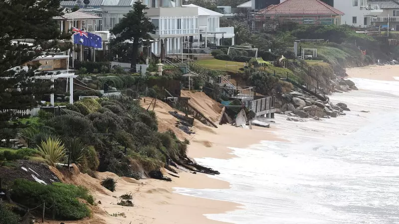 Canadian Tourist Found Dead on Australian Beach, Dingoes Present at Scene